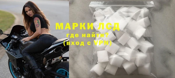 ПСИЛОЦИБИНОВЫЕ ГРИБЫ Козловка
