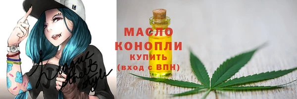 ПСИЛОЦИБИНОВЫЕ ГРИБЫ Козловка