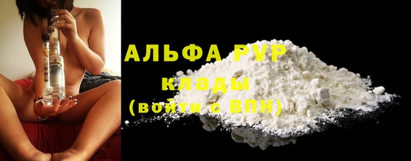 ПСИЛОЦИБИНОВЫЕ ГРИБЫ Козловка