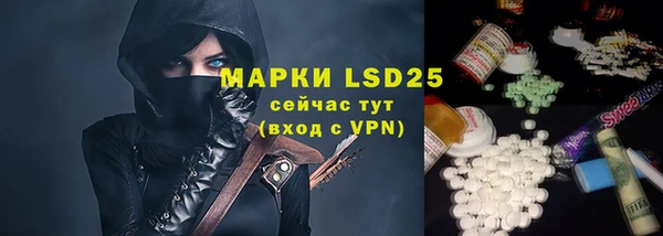 индика Киренск