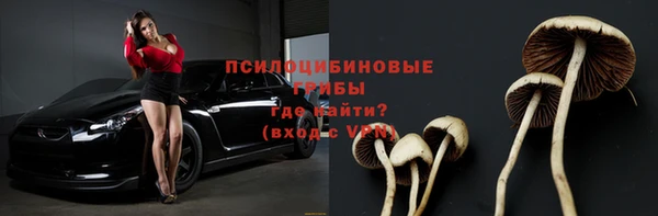 таблы Кодинск