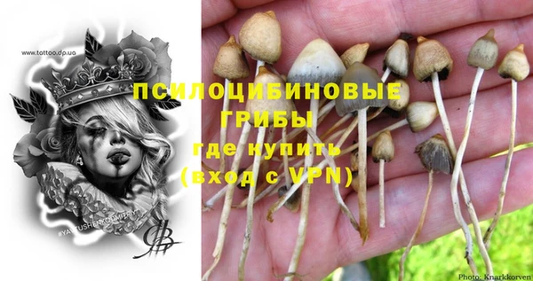 ГАЛЛЮЦИНОГЕННЫЕ ГРИБЫ Козельск