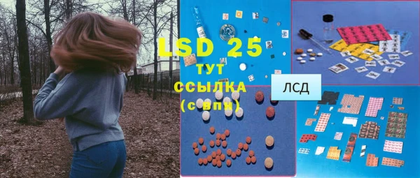 ПСИЛОЦИБИНОВЫЕ ГРИБЫ Козловка