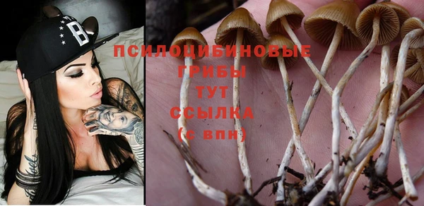 таблы Кодинск