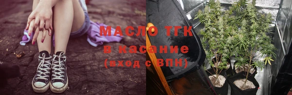 ПСИЛОЦИБИНОВЫЕ ГРИБЫ Козловка